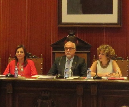 Pleno del Ayuntamiento de Manzanares