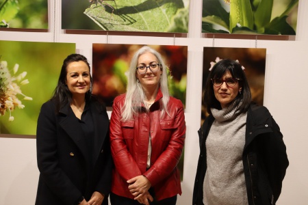 Exposición Pequeños paisajes, Isabel Nieto-Márquez