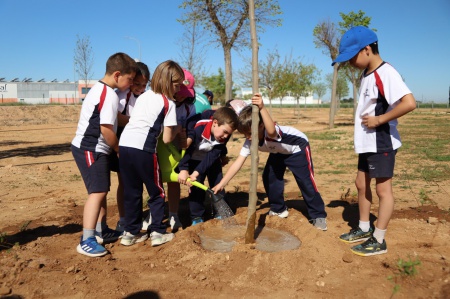 Día del árbol 2025
