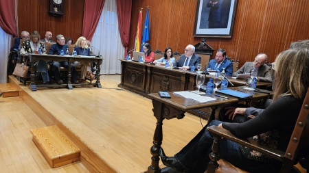 Imagen del pleno del 24 de noviembre de 2025
