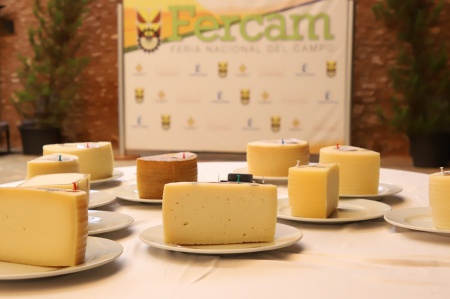 Reunión jurado 36º Concurso calidad de queso manchego Fercam 2026