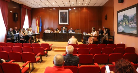 Pleno ordinario julio 2026