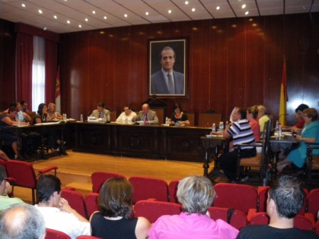 Imagen del pleno de julio de 2010