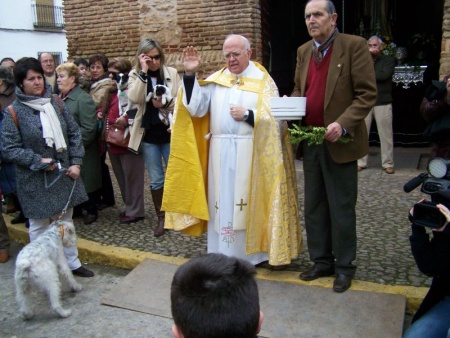 Bendición de animales en San Antón