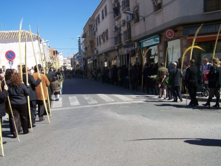 Momento de la procesión del Domingo de Ramos