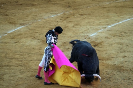 El Cid durante la faena