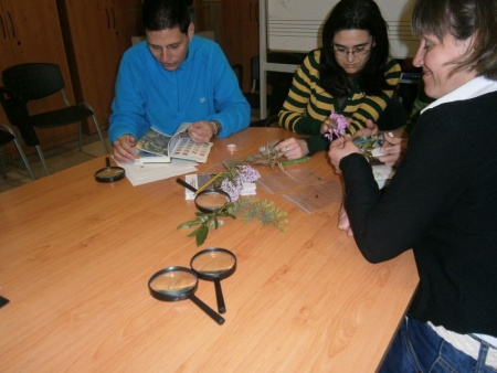 Curso de director de actividades juveniles