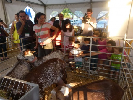 Visita a la carpa de ganadería del taller de animales de granja