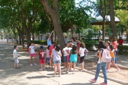 José Luis Olmo explica detalle de un árbol del Paseo del Río