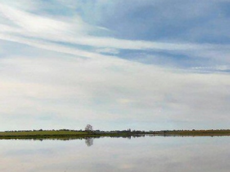 Vista de los alrededores de los molinos de Daimiel. Foto: David Gª de Dionisio