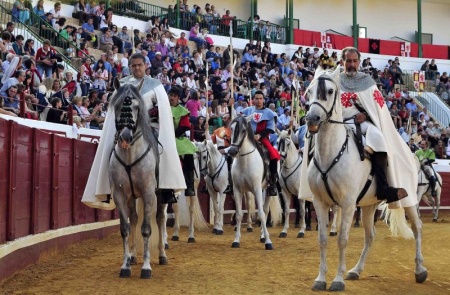 Juegos Medievales del año pasado. Foto: Roque J. Cuesta