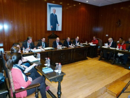 Imagen del pleno de enero 2014