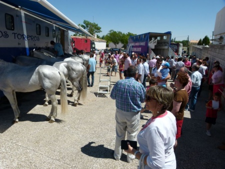 A mediodía habrá un recorrido guiado mientras se preparan los caballos