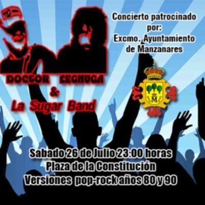 Cartel del concierto