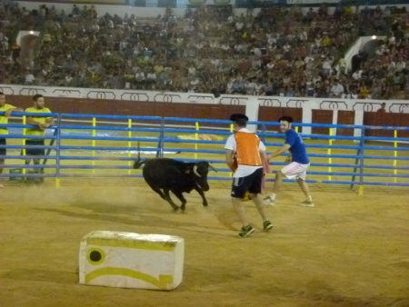 Equipo Pagafantas, de azul, en una de las pruebas con vaquilla