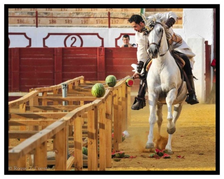 El Caballero Abanderado, partiendo una sandía con su espada. Foto: Roque J. Cuesta