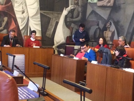 Intervención del representante manzanareño en el pleno