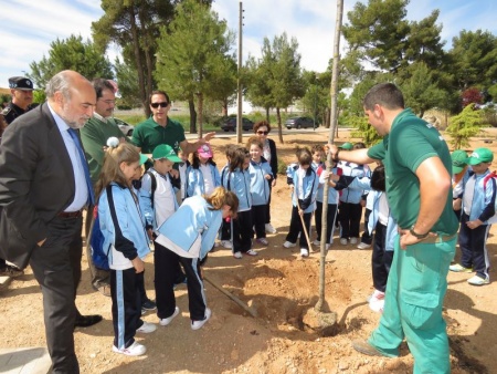 Momento de la plantación de árboles