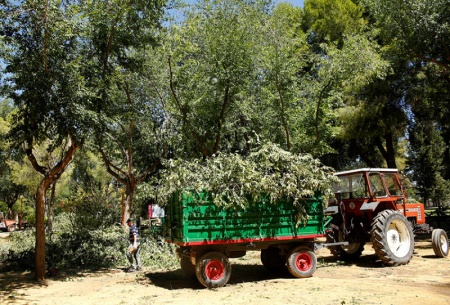 Trabajos de los operarios municipales en el Parque del Polígono