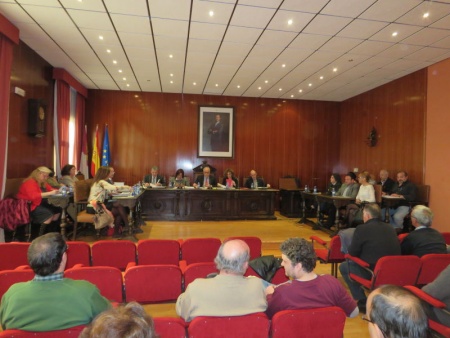 Pleno del Ayuntamiento de Manzanares