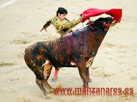 Rubén Pinar, triunfador de San Isidro 2009 torea este domingo en Manzanares