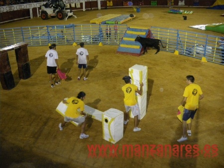 Prueba con vaquilla en el Grand Prix de Manzanares