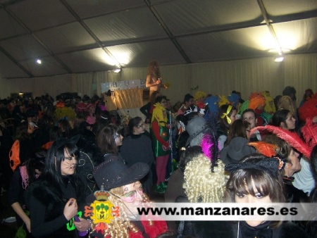 Carnaval en Manzanares