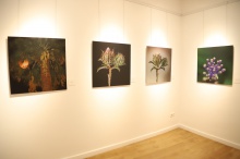 'Alūmen' - VI exposición colectiva de la Asociación Fotográfica 'Manzanares'