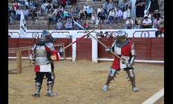 Jornadas Medievales 2024