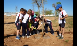 Día del árbol 2025