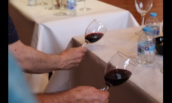 Cata de vino (Fercam 2024)