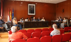 Pleno ordinario julio 2025