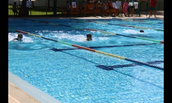 Torneo de natación fiestas patronales 2025