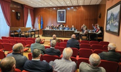 Votación de uno de los asuntos del pleno por parte de los concejales del equipo de gobierno