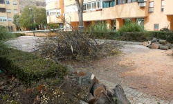 Rachas de viento en Manzanares