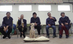 La perra Koba protagoniza las terapias caninas en el CADI de Manzanares