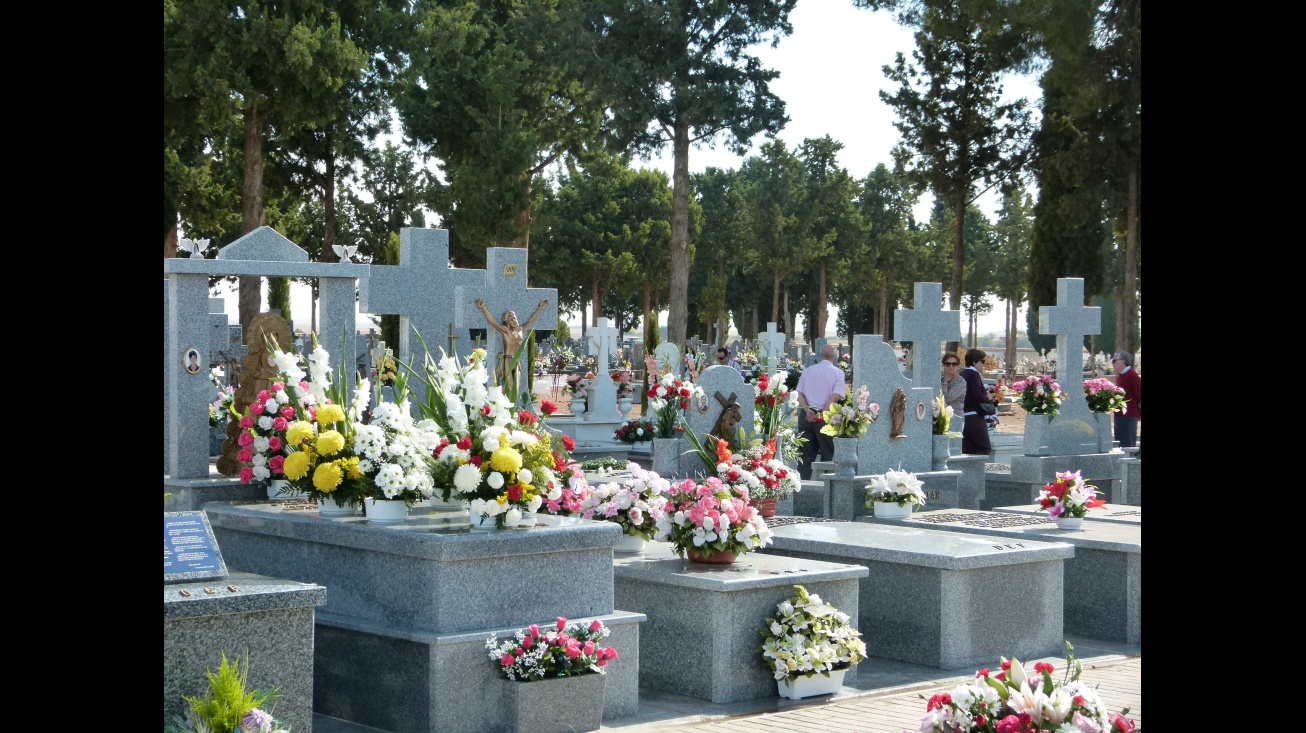 Vista del cementerio municipal de Manzanares