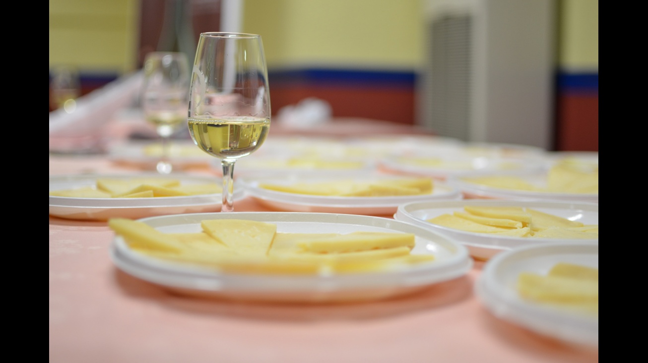 IV Festival de Cortometrajes ManzanaREC. Catas de queso y vino