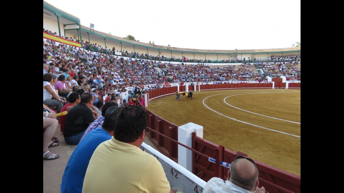Plaza de toros de Manzanares durante un festejo