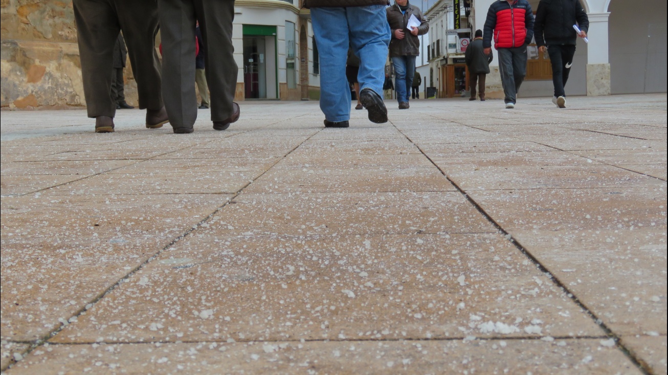 La plaza de la Constitución ha sido una de las zonas en las que operarios municipales han extendido sal