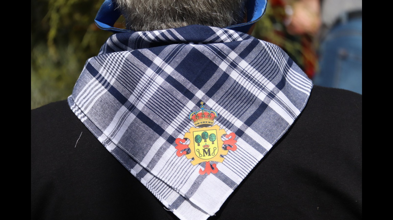Romería de San Isidro Manzanares