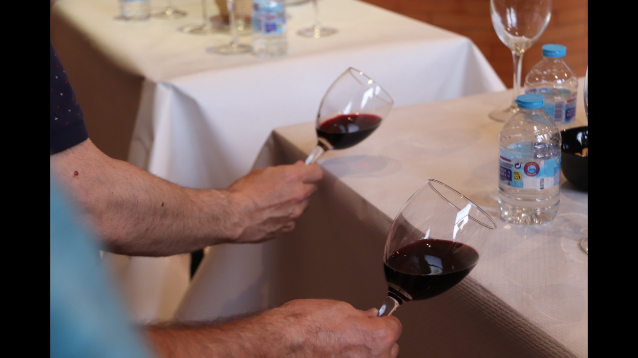 Cata de vino (Fercam 2024)