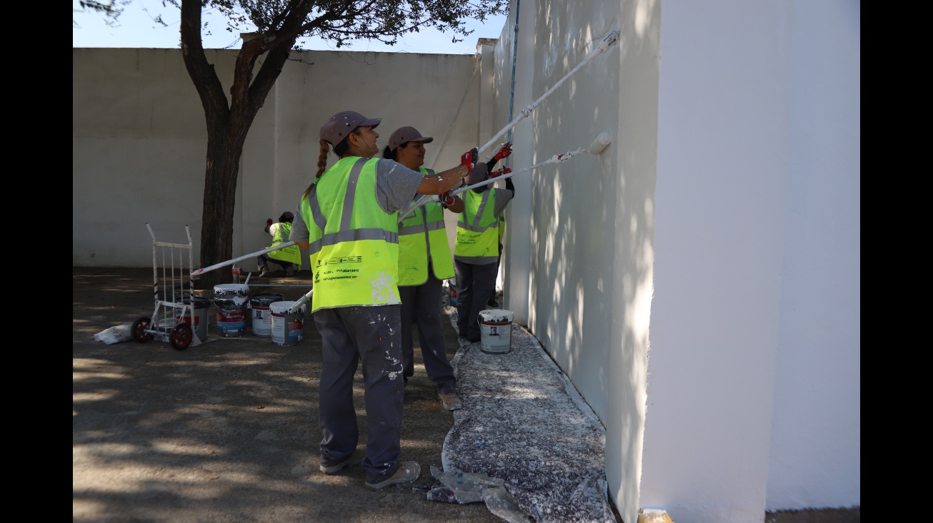 Operarias realizan labores de pintura en acciones sociales de empleo de 2025