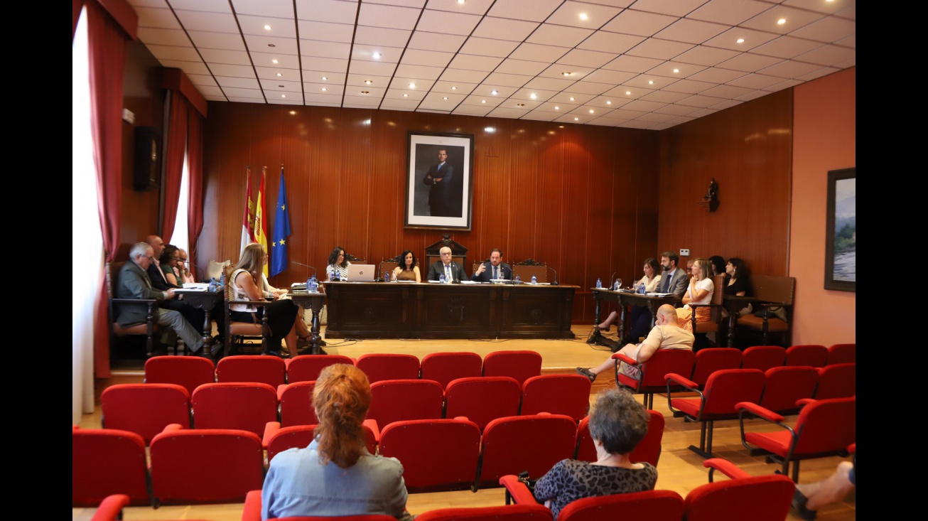Pleno ordinario julio 2026