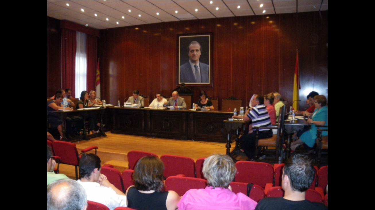 Imagen del pleno de julio de 2010