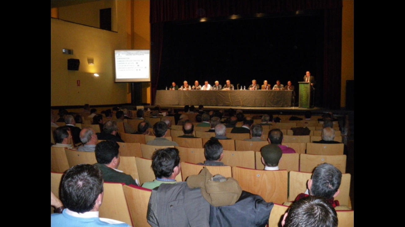 Cooperativa, asamblea