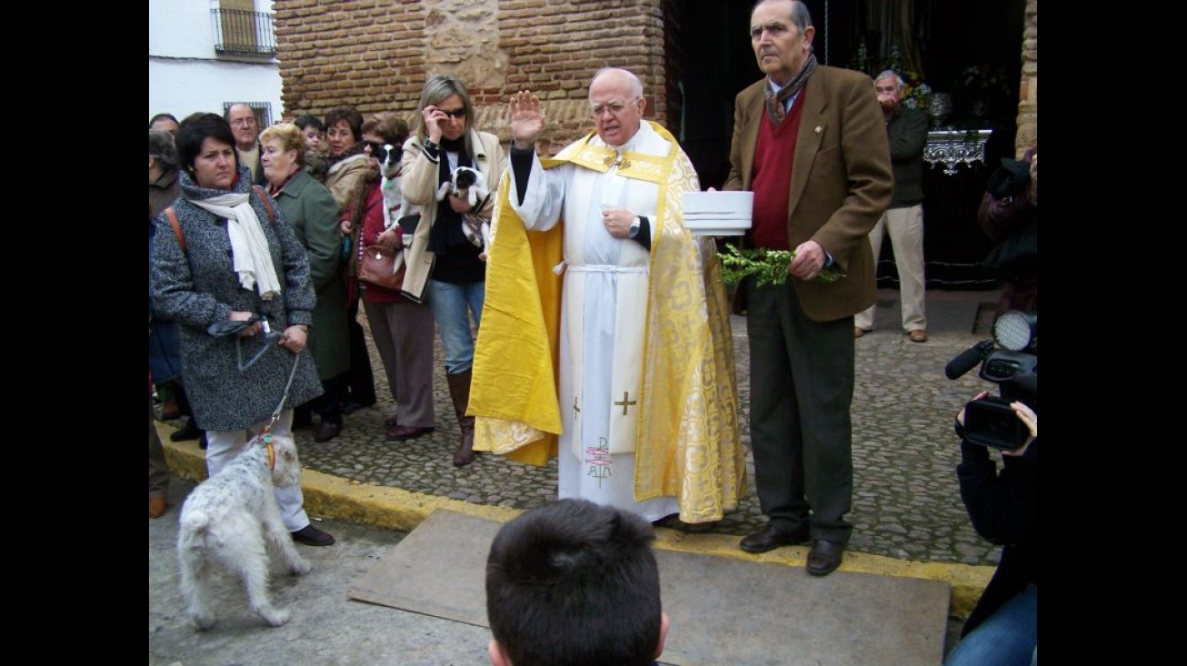 Bendición de animales en San Antón