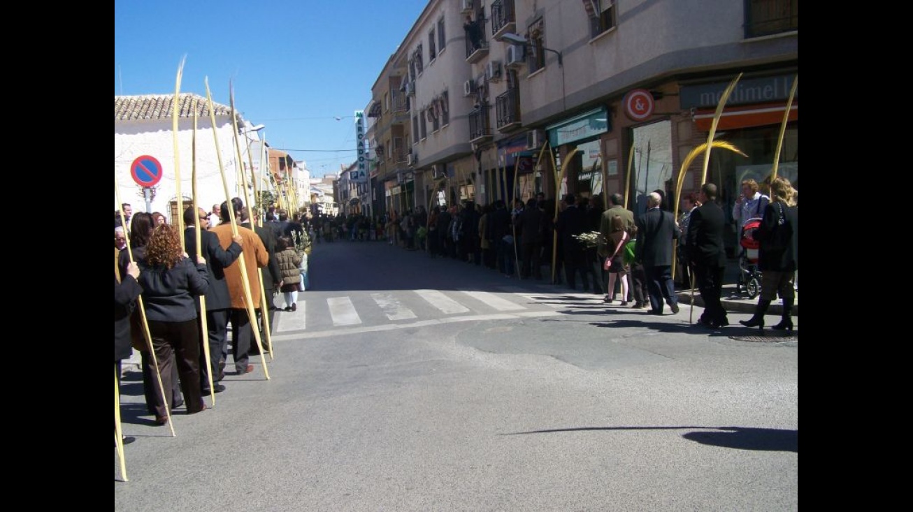 Momento de la procesión del Domingo de Ramos