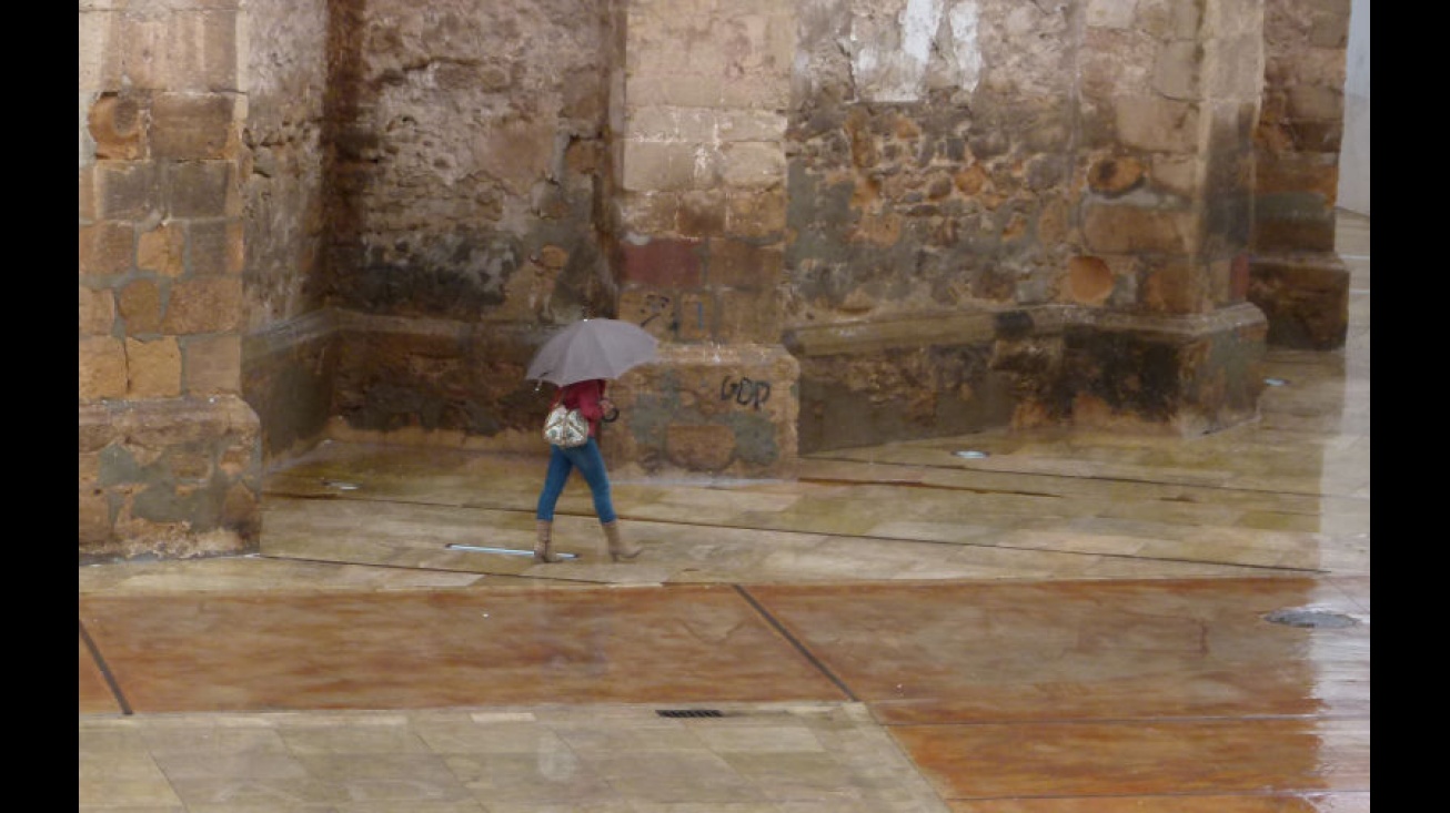 Lluvia en Manzanares