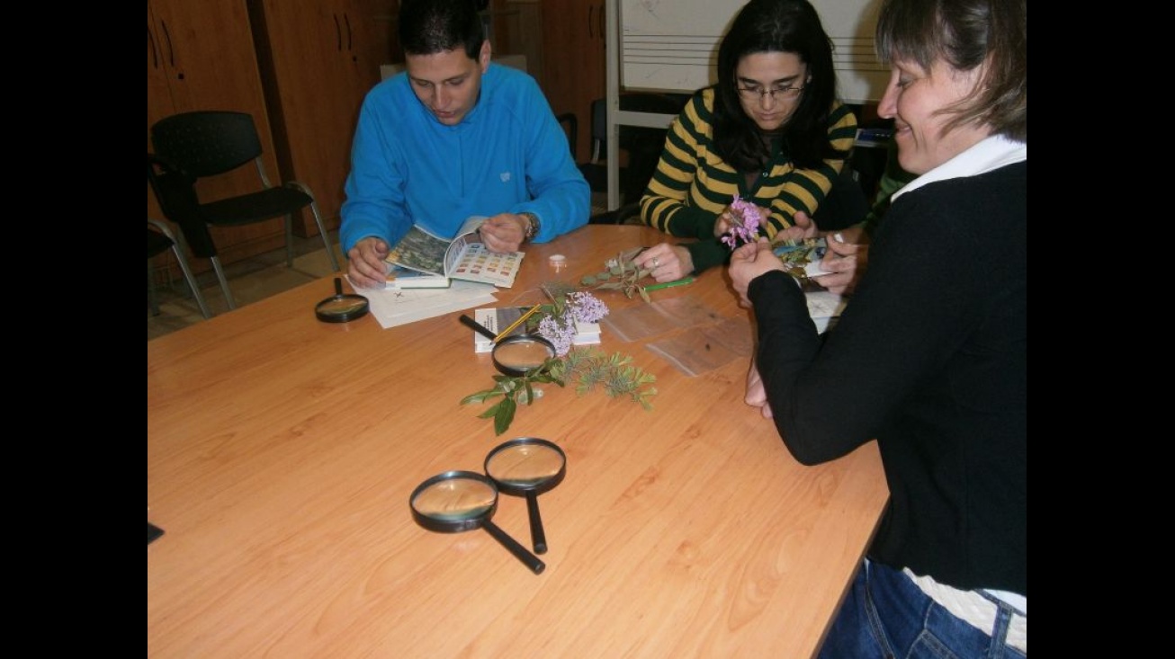 Curso de director de actividades juveniles